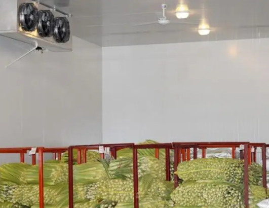 冷庫(kù)建造 冷庫(kù)建造