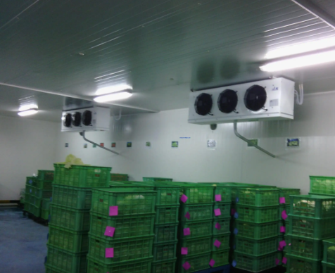 保鮮冷庫(kù)成本費(fèi)用