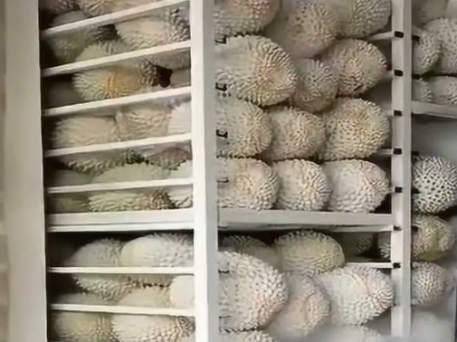 榴蓮放在冷庫里環(huán)境溫度是多少℃ 榴蓮放在冷庫里環(huán)境溫度是多少℃