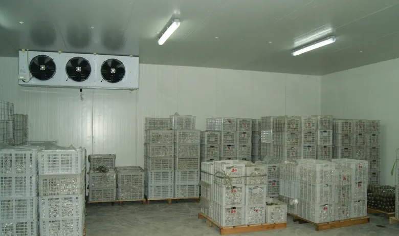 苦瓜保鮮庫(kù) 苦瓜保鮮庫(kù)