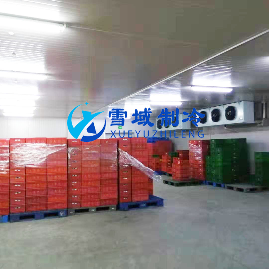 徐州衛(wèi)崗速凍冷庫(kù)現(xiàn)場(chǎng)圖片 徐州衛(wèi)崗速凍冷庫(kù)現(xiàn)場(chǎng)圖片