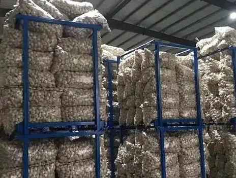 建一個500噸大蒜冷庫一平米需要多少錢