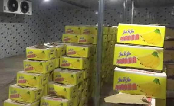 2023年冷庫(kù)賺錢的方法