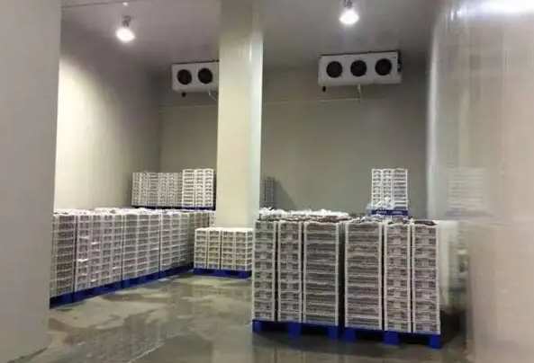 佛山冷庫出租收費(fèi)標(biāo)準(zhǔn)及注意事項(xiàng) 佛山冷庫出租收費(fèi)標(biāo)準(zhǔn)及注意事項(xiàng)