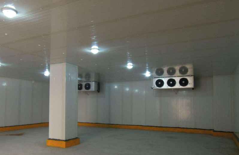 建20平米草莓小型冷庫(kù)造價(jià)多少錢