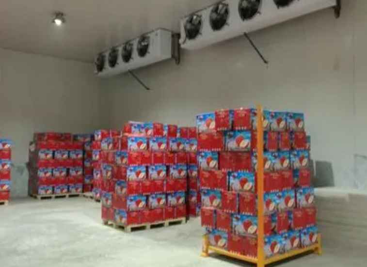 建造大型冷庫的設(shè)計(jì)與安裝方案 建造大型冷庫的設(shè)計(jì)與安裝方案