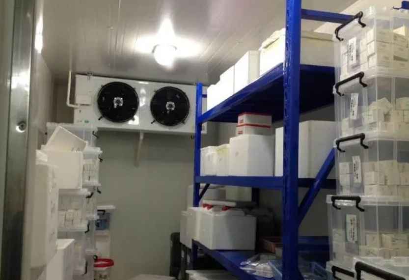 建醫(yī)藥冷庫工程設計方案