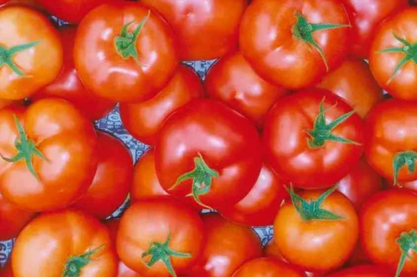 建1000平方米番茄氣調(diào)保鮮冷庫(kù)造價(jià)多少錢