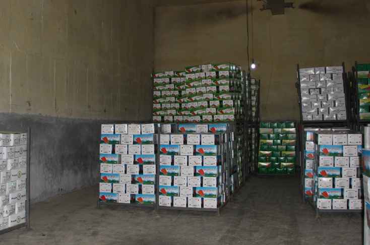 儲(chǔ)藏水果的冷庫(kù)造價(jià)是多少錢(qián)