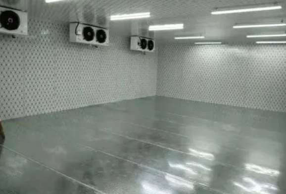 建300平米的冷庫需要多少錢 建300平米的冷庫需要多少錢