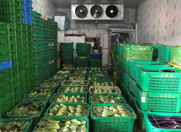 建造大型蔬菜保鮮冷庫(kù)造價(jià)多少錢