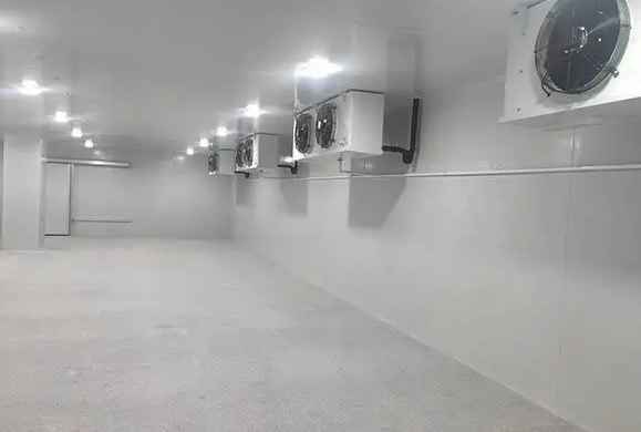 中溫冷庫可以保鮮水果嗎