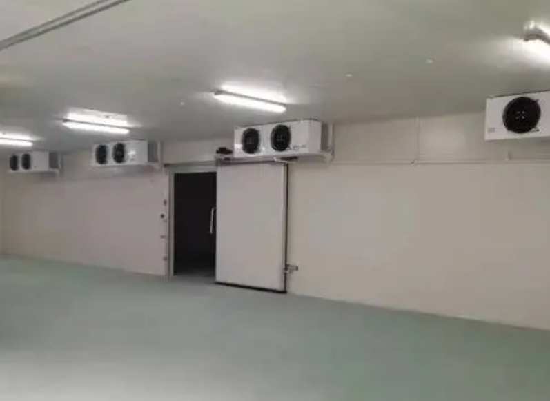 豆角在冷庫里能儲存多長時間 豆角在冷庫里能儲存多長時間