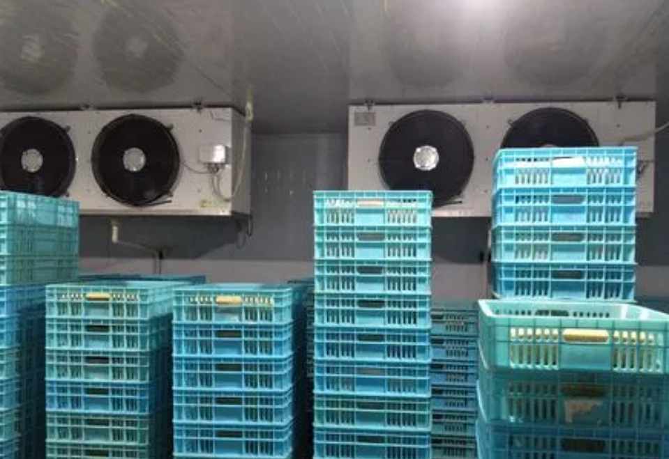 保鮮冷庫工程設(shè)計規(guī)范標(biāo)準(zhǔn)要求 保鮮冷庫工程設(shè)計規(guī)范標(biāo)準(zhǔn)要求