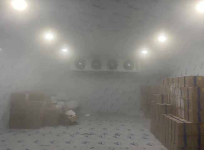 建一個冷凍庫大概要多少錢