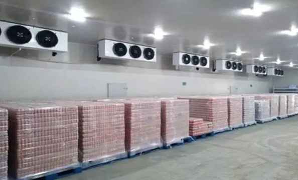 地下蔬菜保鮮庫建造要求 地下蔬菜保鮮庫建造要求