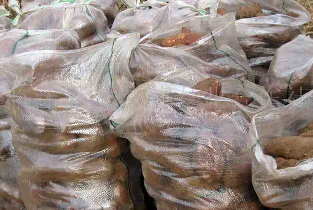 建造地瓜保鮮冷庫(kù)需要多少錢 建造地瓜保鮮冷庫(kù)需要多少錢