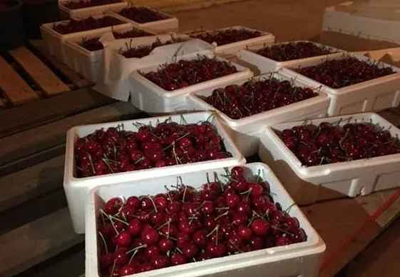 儲(chǔ)藏水果的冷庫(kù)造價(jià)是多少錢(qián)