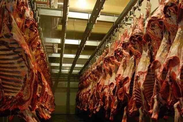 排酸冷庫(kù)與冷庫(kù)的不同之處 排酸冷庫(kù)與冷庫(kù)的不同之處