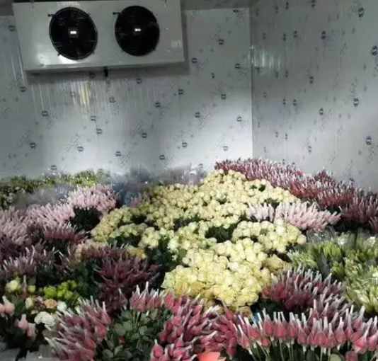 冷庫不制冷原因和處理方法 冷庫不制冷原因和處理方法