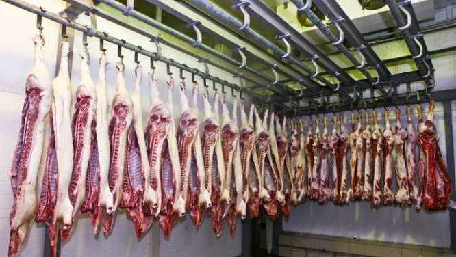 大型冷凍冷庫造價(jià)多少錢一方 大型冷凍冷庫造價(jià)多少錢一方