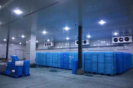 南京醫(yī)藥冷庫(kù)工程造價(jià)多少錢 南京醫(yī)藥冷庫(kù)工程造價(jià)多少錢