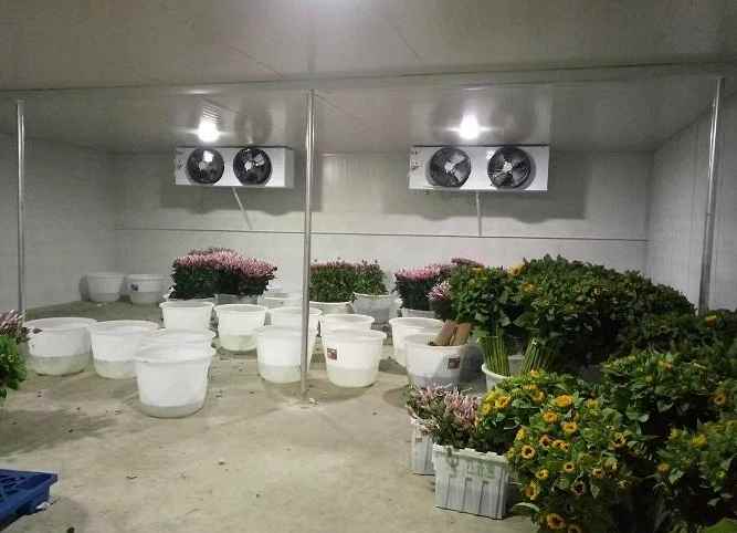 建造一個(gè)冷庫(kù)需要哪些設(shè)備和材料 建造一個(gè)冷庫(kù)需要哪些設(shè)備和材料