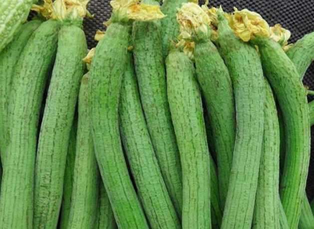 冷庫(kù)保鮮蔬菜能保存多久 冷庫(kù)保鮮蔬菜能保存多久