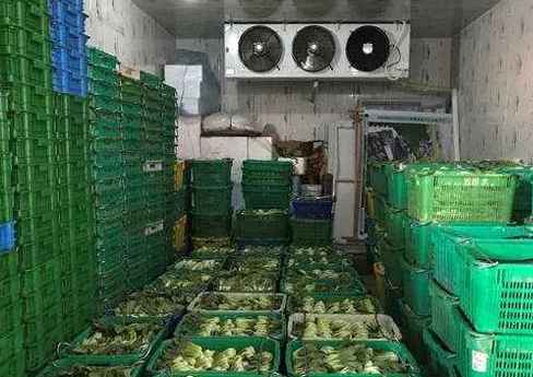 廣州建造一個蔬菜保鮮冷庫要多少錢 廣州建造一個蔬菜保鮮冷庫要多少錢