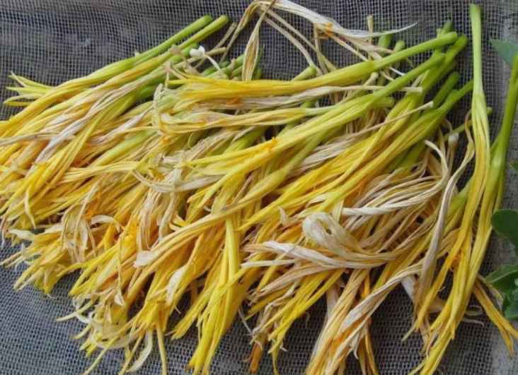 黃花菜冷庫(kù)存儲(chǔ)溫度大概多少度 黃花菜冷庫(kù)存儲(chǔ)溫度大概多少度