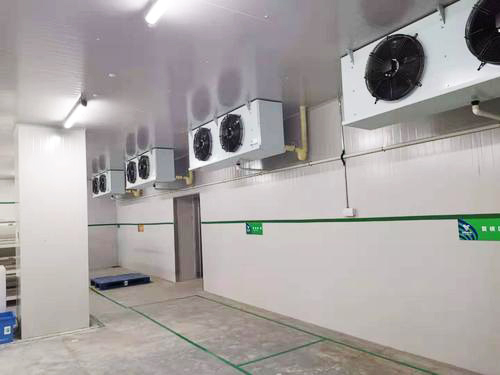 疫苗冷庫(kù)溫度 疫苗冷庫(kù)溫度