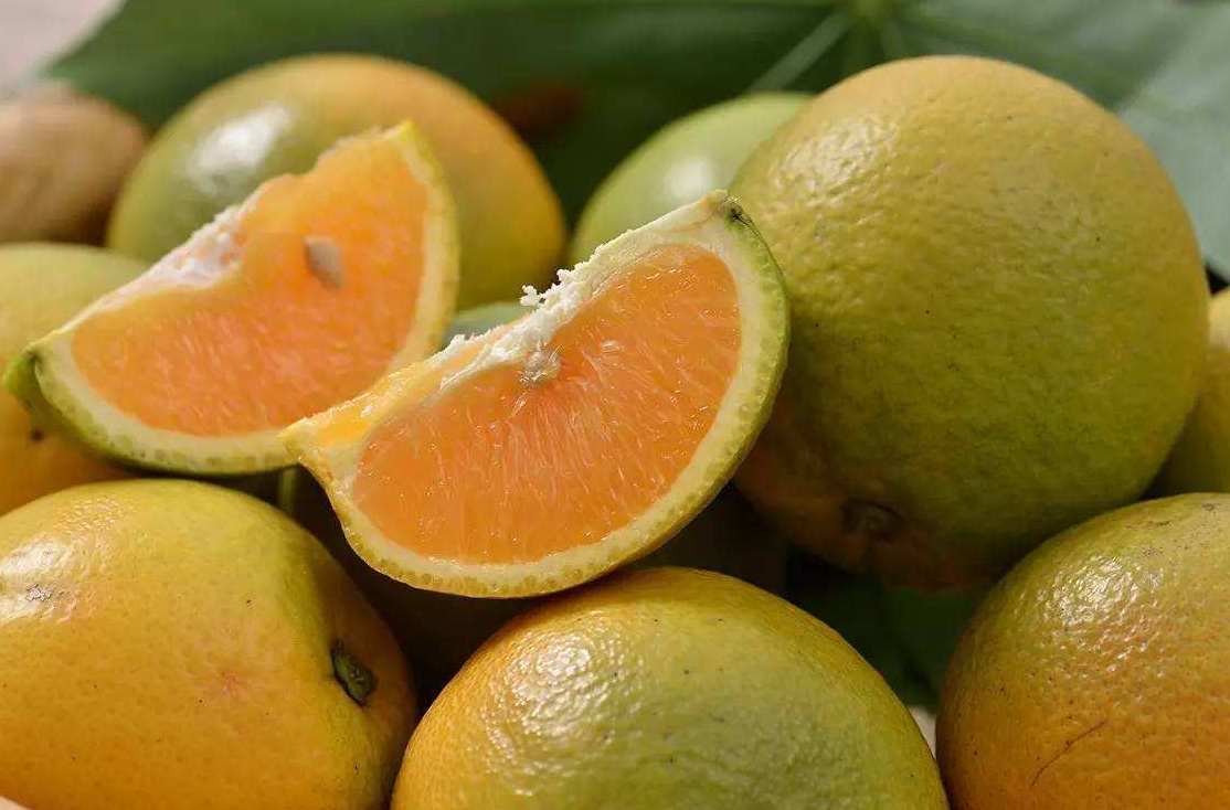 橙子氣調(diào)冷庫能保鮮多久 橙子氣調(diào)冷庫能保鮮多久