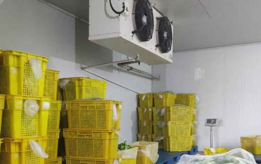 廣州建造一個蔬菜保鮮冷庫要多少錢 廣州建造一個蔬菜保鮮冷庫要多少錢