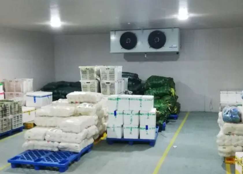 建一個300平方的冷庫需要多少錢 建一個300平方的冷庫需要多少錢