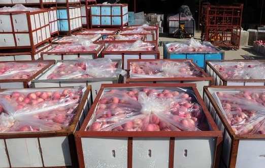 蘋果冷庫(kù)儲(chǔ)存方法及溫度是多少 蘋果冷庫(kù)儲(chǔ)存方法及溫度是多少