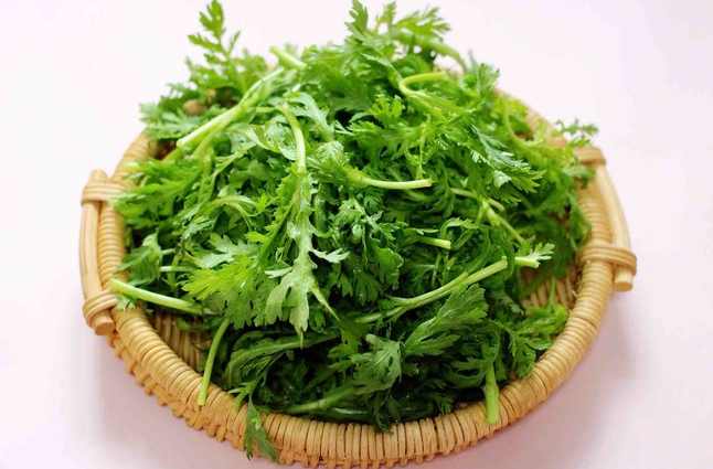 茼蒿冷庫(kù)保鮮儲(chǔ)存方法 茼蒿冷庫(kù)保鮮儲(chǔ)存方法