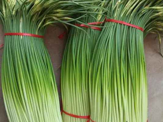 蒜苔冷庫如何正確保鮮儲(chǔ)存