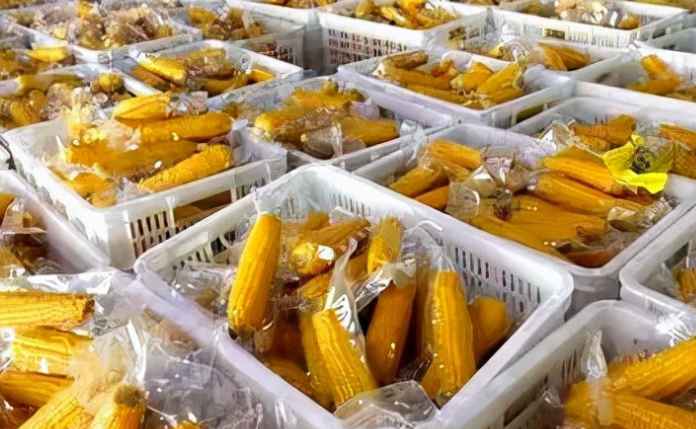 大量玉米除了冷庫保鮮儲存，還有其他方法嗎