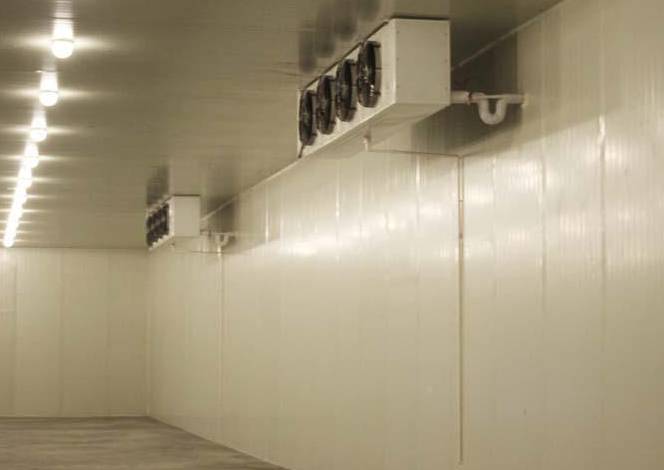 建存放200噸農(nóng)產(chǎn)品冷庫(kù)大概需要多少錢