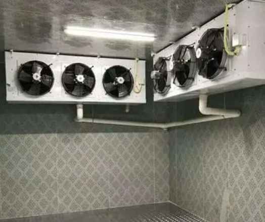 建存放200噸農(nóng)產(chǎn)品冷庫(kù)大概需要多少錢