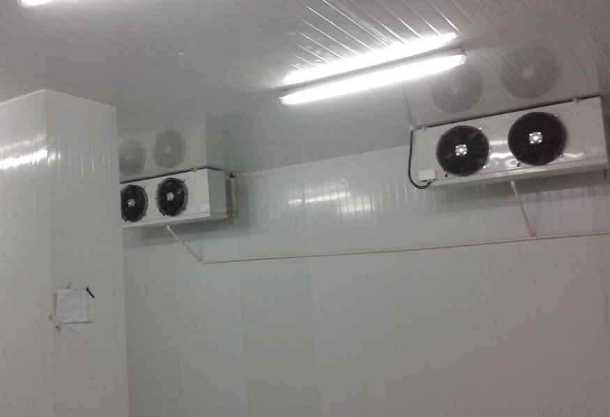 上海地區(qū)小型保鮮冷庫建造費用多少錢？