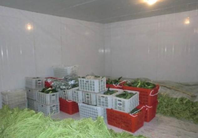 冷庫價(jià)格揭秘：影響冷庫造價(jià)的關(guān)鍵因素有哪些？