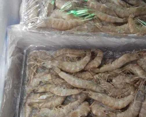 投資建650平米凍蝦冷凍庫(kù)多少錢(qián) 投資建650平米凍蝦冷凍庫(kù)多少錢(qián)