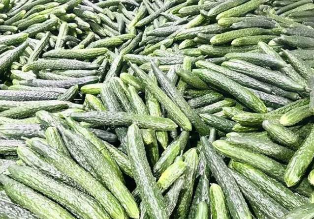 建900平米黃瓜保鮮冷庫(kù)安裝多少錢 建900平米黃瓜保鮮冷庫(kù)安裝多少錢