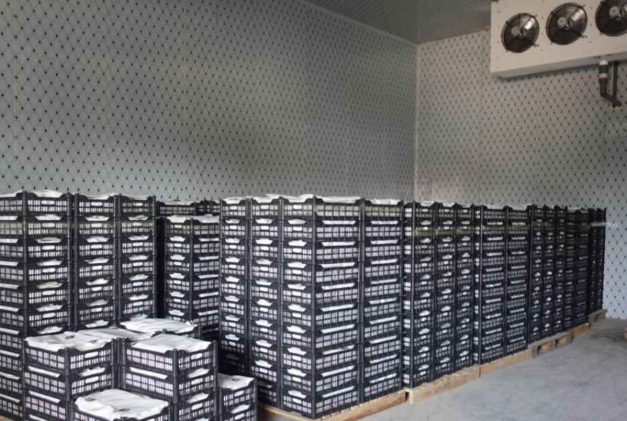 冷庫(kù)門(mén)密封效果維護(hù)和修理辦法？