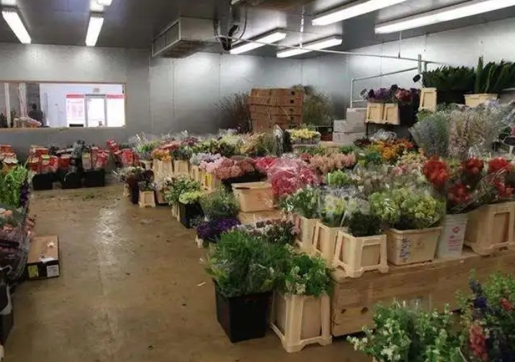 不同種類的鮮花對冷庫溫度的要求一樣嗎？